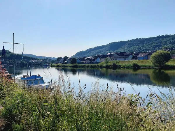 Mosel